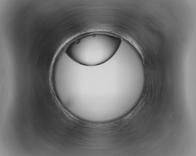 X0000116681072200912141001