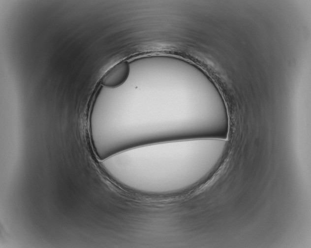 X0000116681073200912141001