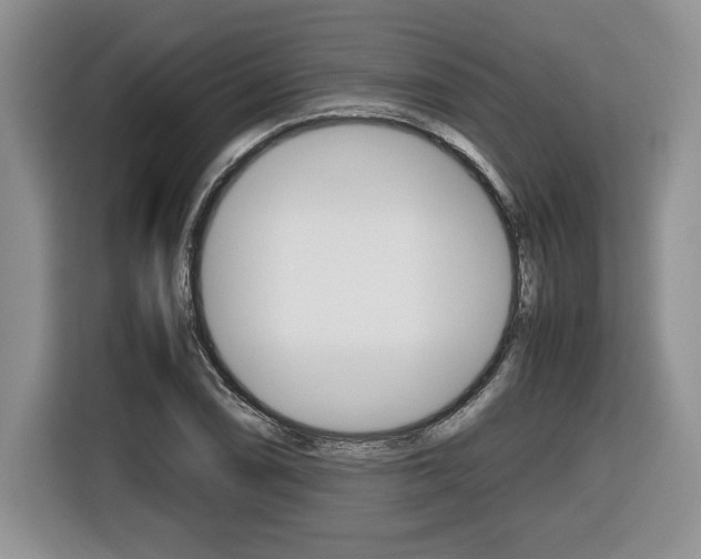 X0000116681074200912141001