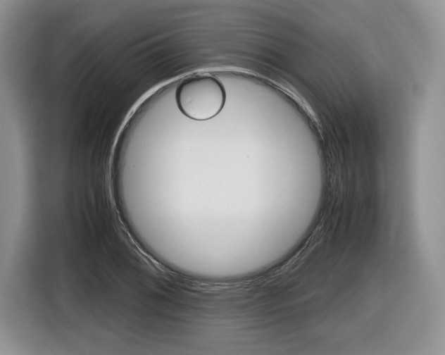 X0000116681076200912141001