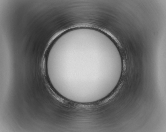 X0000116681078200912141000