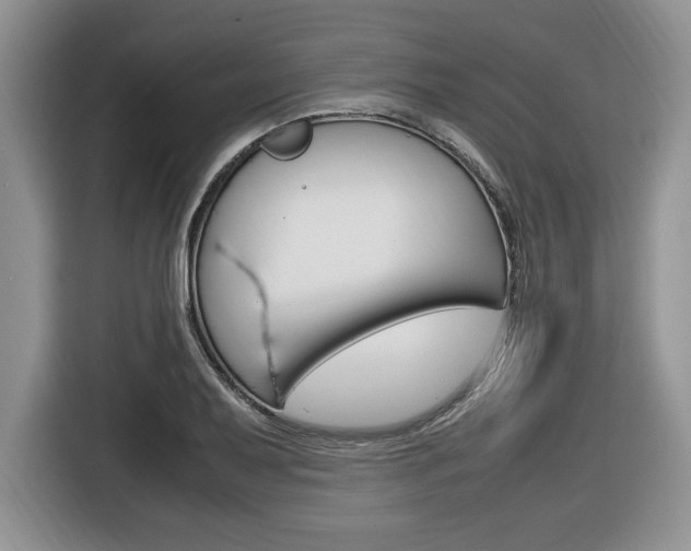 X0000116681079200912141000