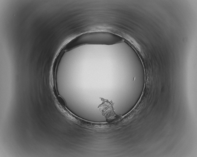 X0000116681080200912141000