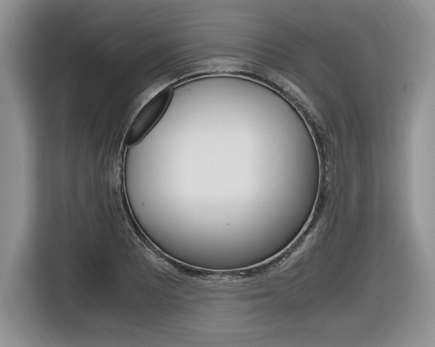 X0000116681081200912141000