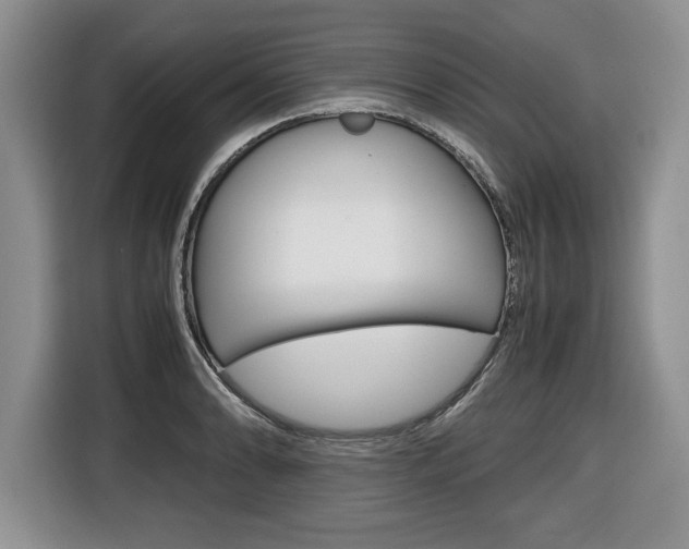 X0000116681086200912141000