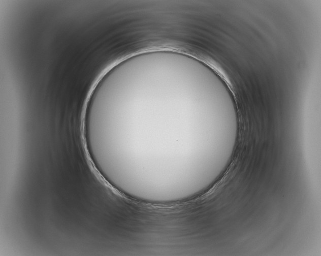 X0000116681088200912141000