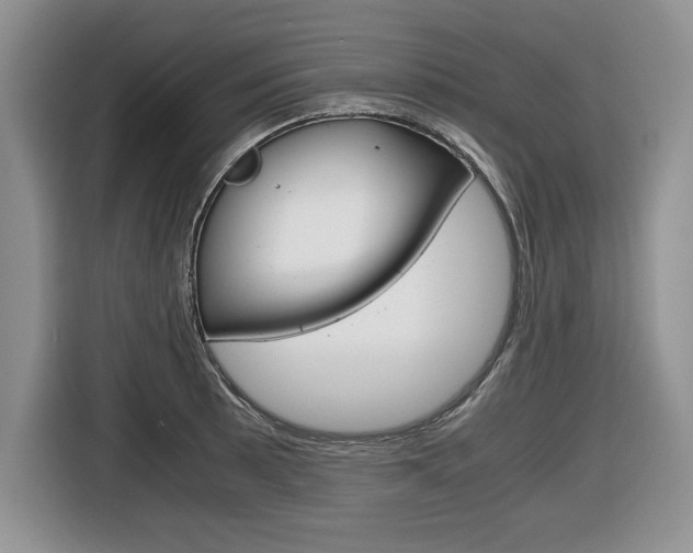 X0000116681089200912141000