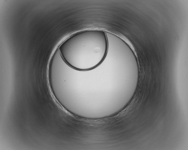 X0000116681096200912141000