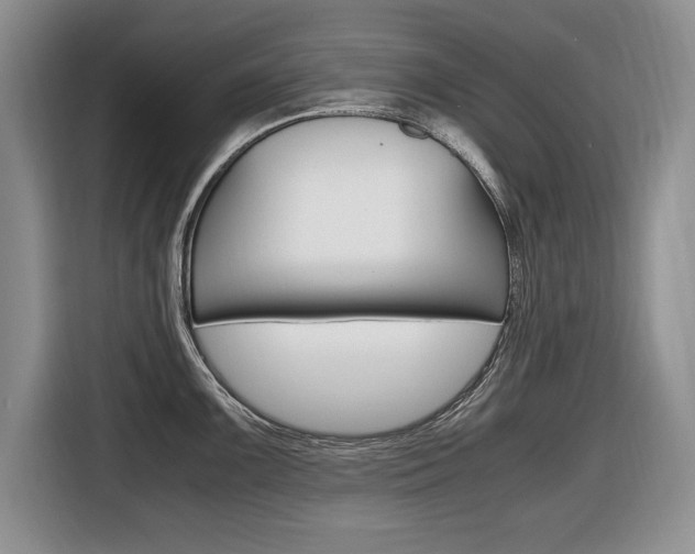 X0000116681099200912141000