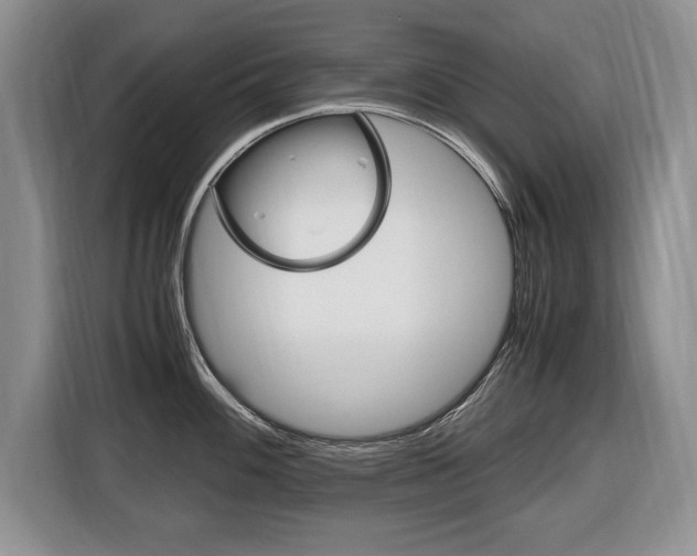 X0000116681100200912141000