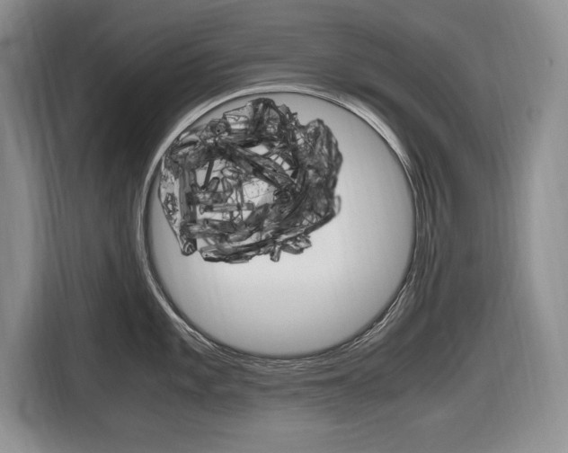 X0000116681101200912141000
