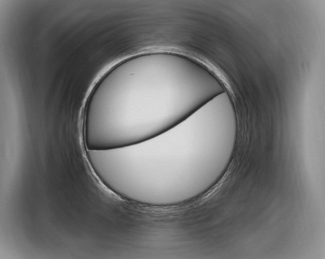 X0000116681102200912141000