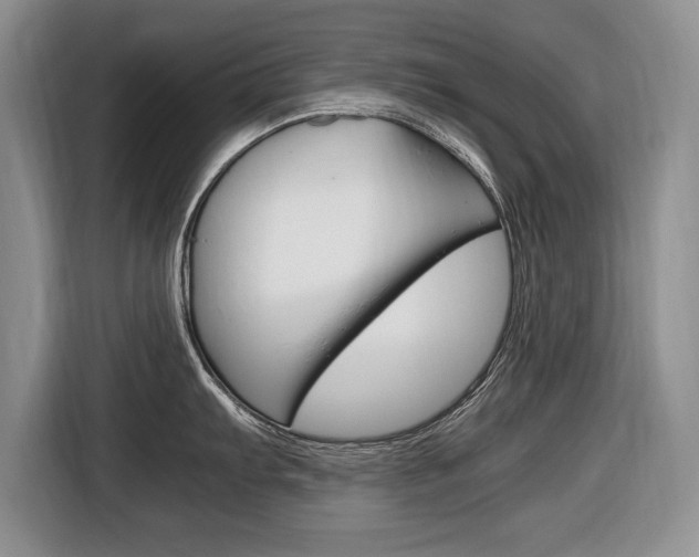 X0000116681103200912141000