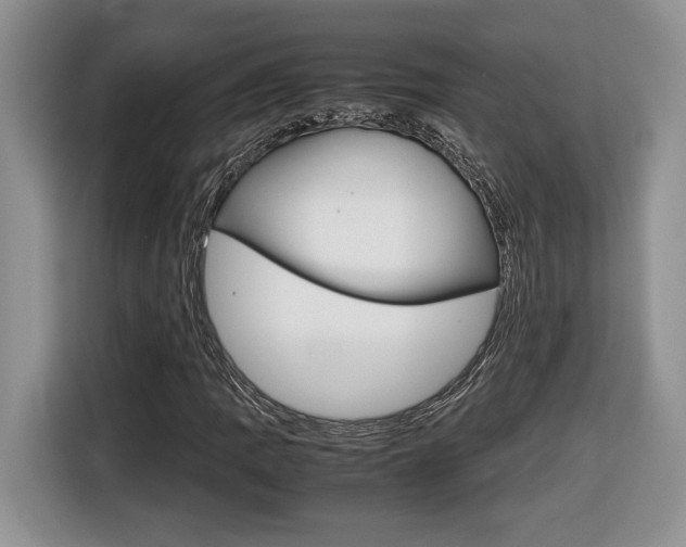 X0000116681109200912141000