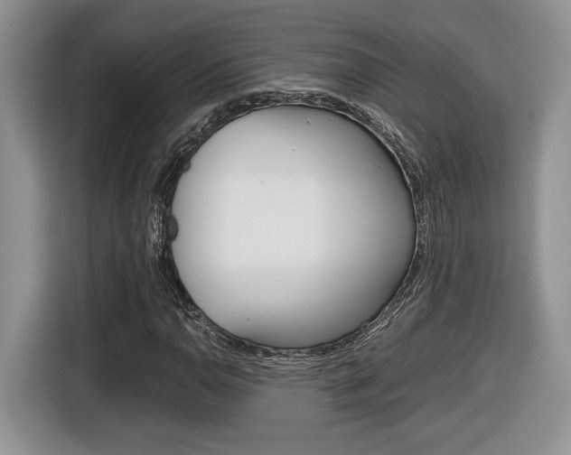 X0000116681110200912141000
