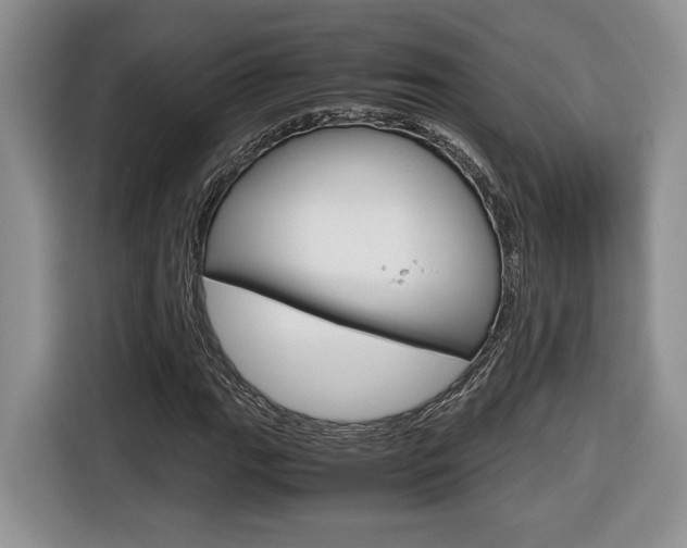 X0000116681111200912141000