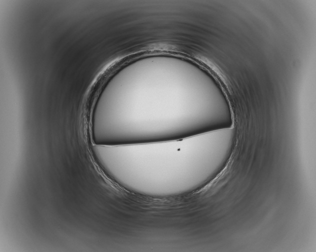 X0000116681115200912141000