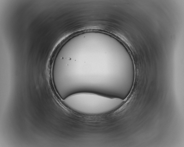 X0000116681119200912141000