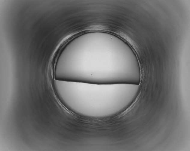 X0000116681123200912141000