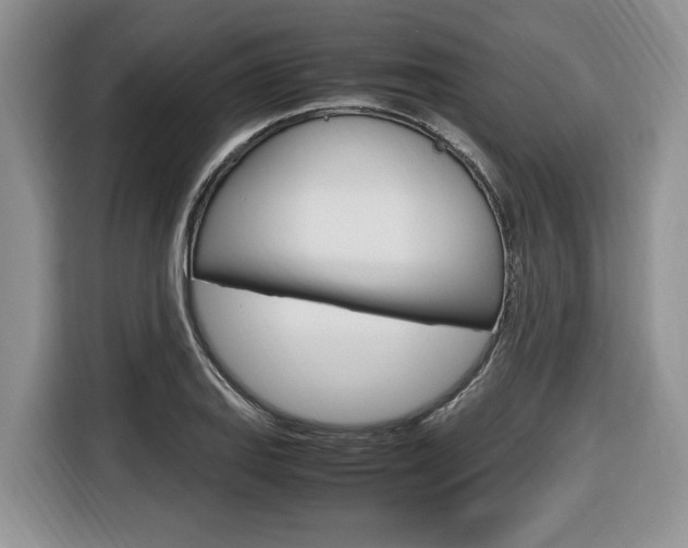 X0000116681127200912141000