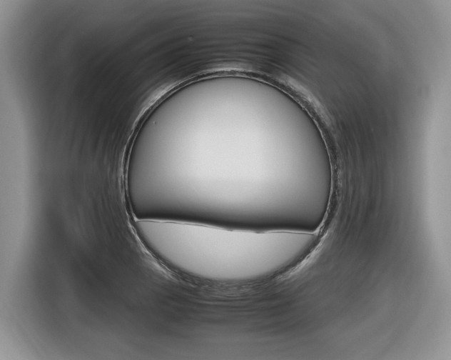 X0000116681129200912141000