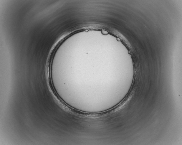 X0000116681130200912141000