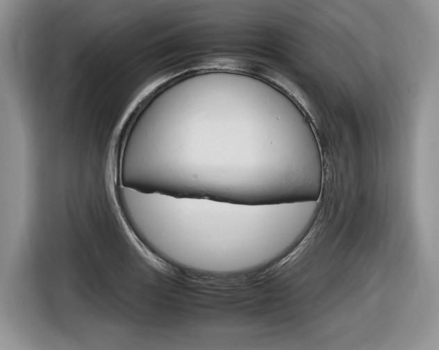 X0000116681131200912141000