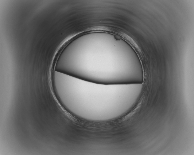 X0000116681133200912141000
