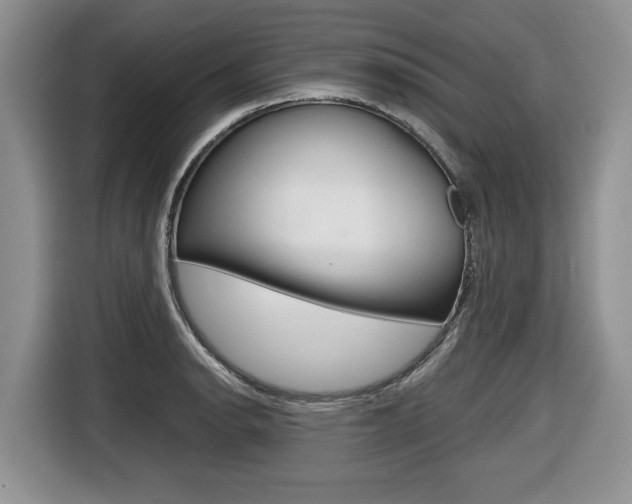 X0000116681134200912141000