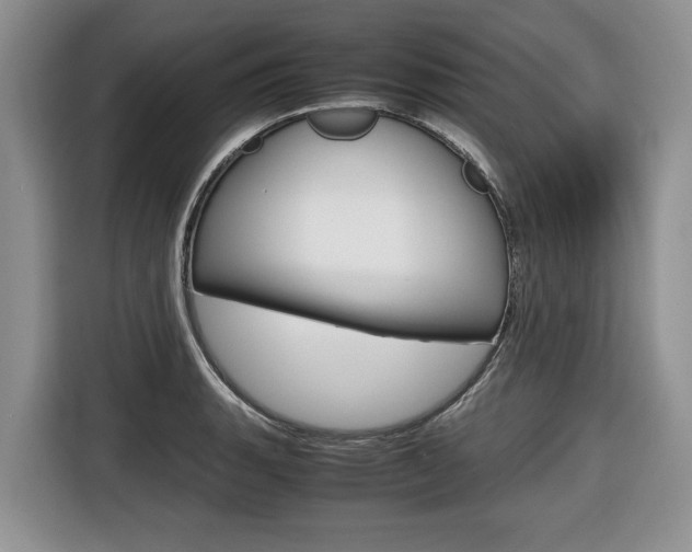 X0000116681135200912141000
