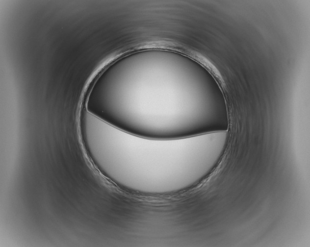 X0000116681138200912141000