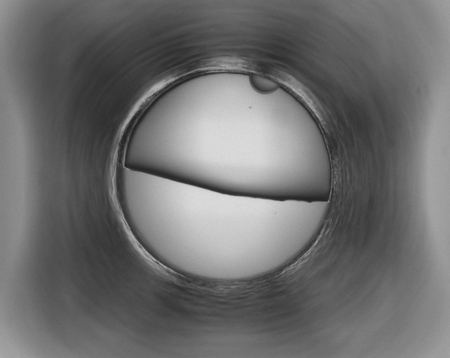 X0000116681139200912141000