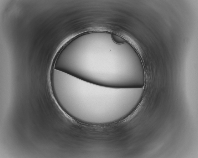 X0000116681141200912141000
