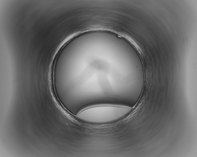 X0000116681142200912141000