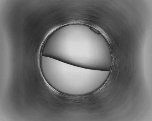 X0000116681143200912141000
