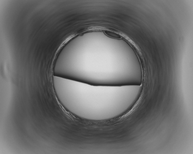 X0000116681145200912141000