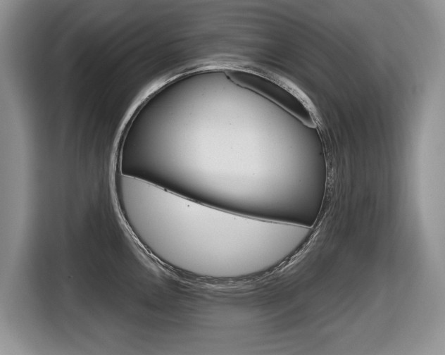X0000116681146200912141000