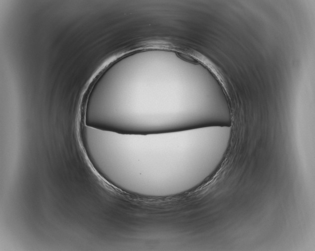 X0000116681147200912141000