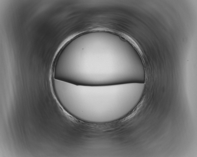 X0000116681149200912141000