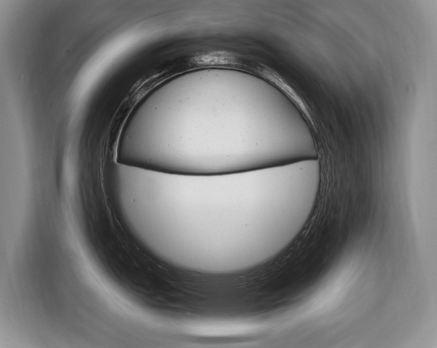 X0000116681151200912141000
