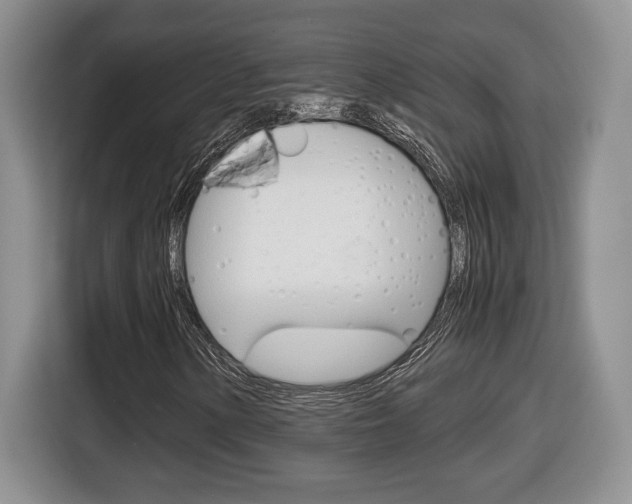 X0000116681154200912140959