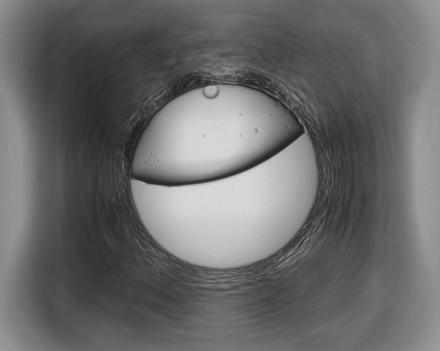 X0000116681156200912140959