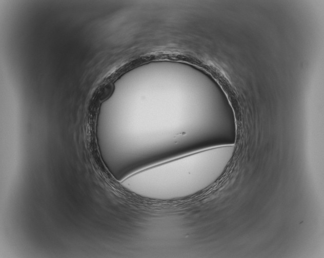 X0000116681159200912140959