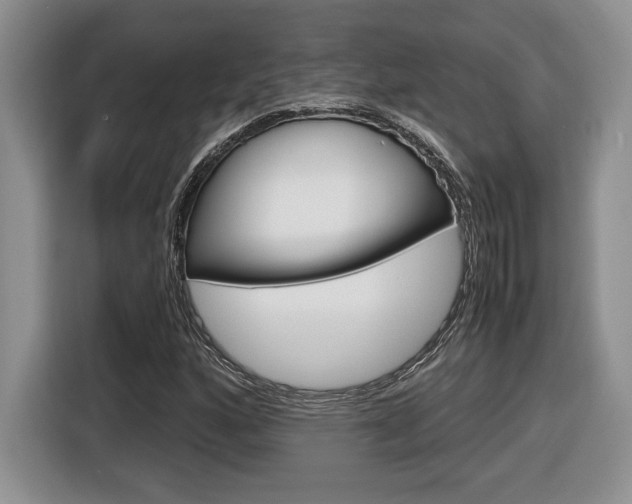X0000116681160200912140959