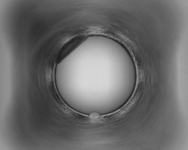 X0000116681161200912140959