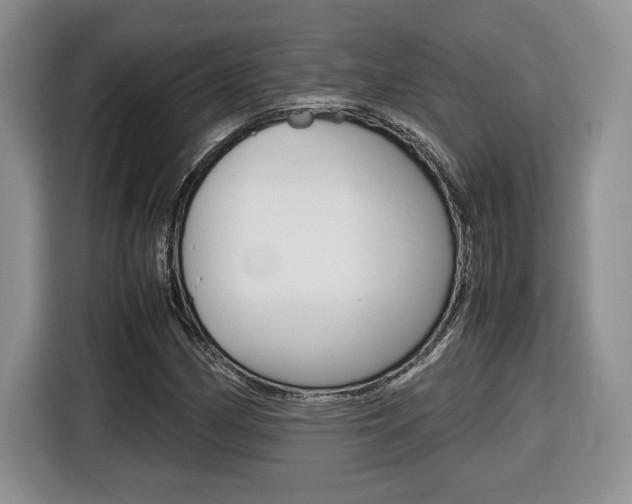 X0000116681162200912140959