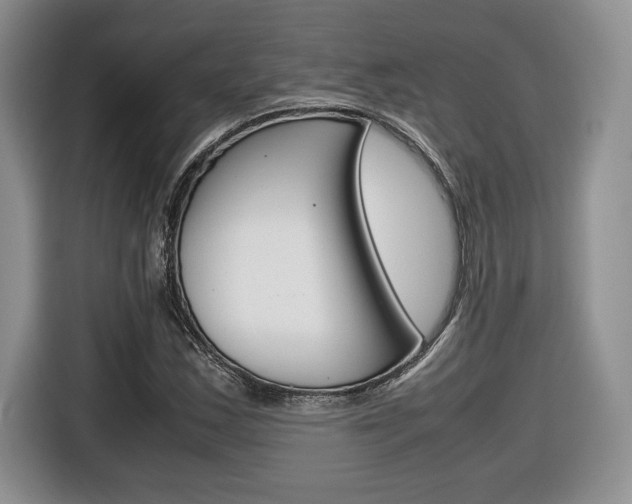 X0000116681163200912140959