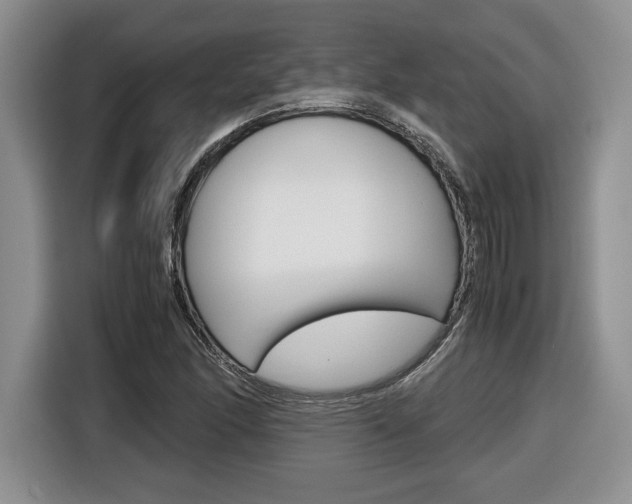 X0000116681166200912140959