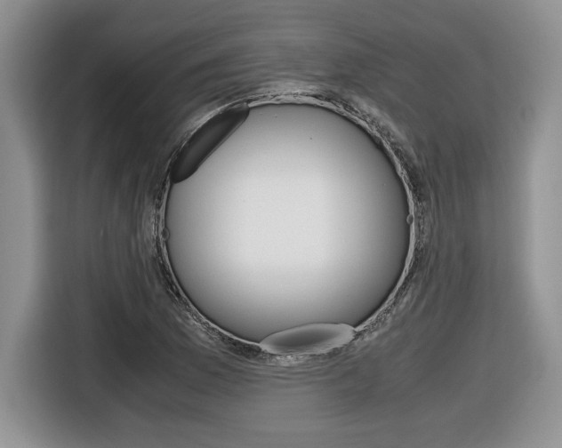 X0000116681169200912140959