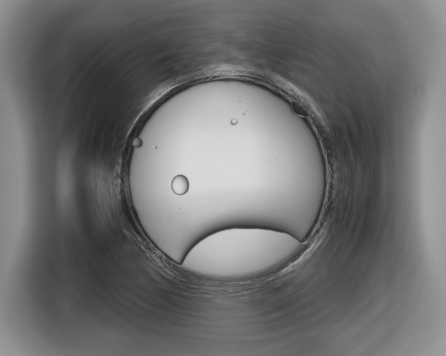 X0000116681170200912140959